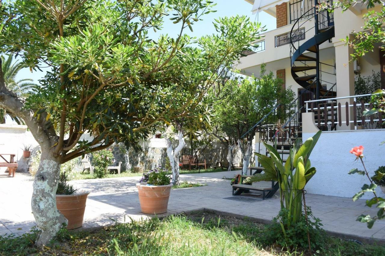 Modern With Garden Apartment